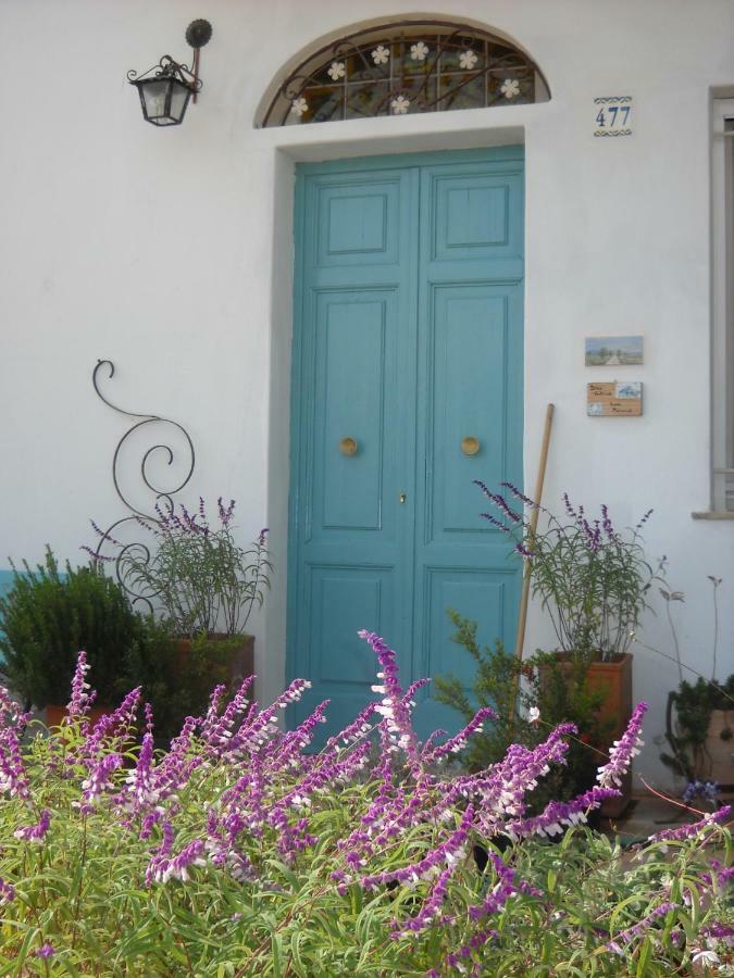 Bed and Breakfast Giardino della Moscatella Altamura Esterno foto