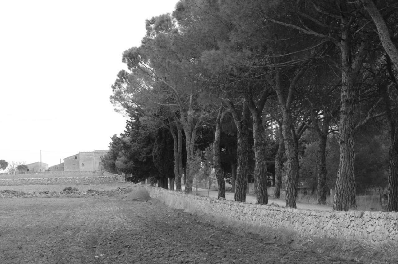Bed and Breakfast Giardino della Moscatella Altamura Esterno foto