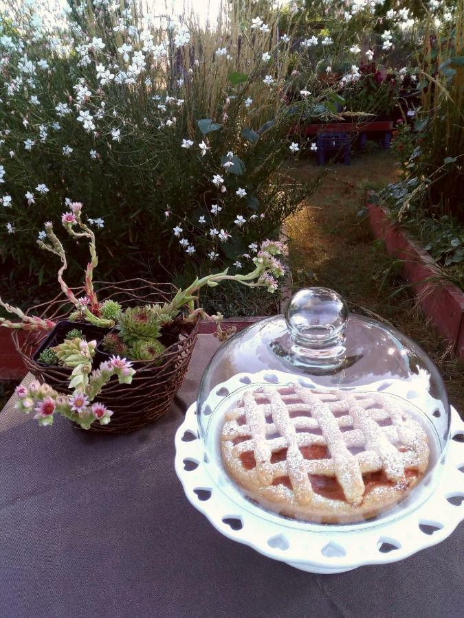 Bed and Breakfast Giardino della Moscatella Altamura Esterno foto