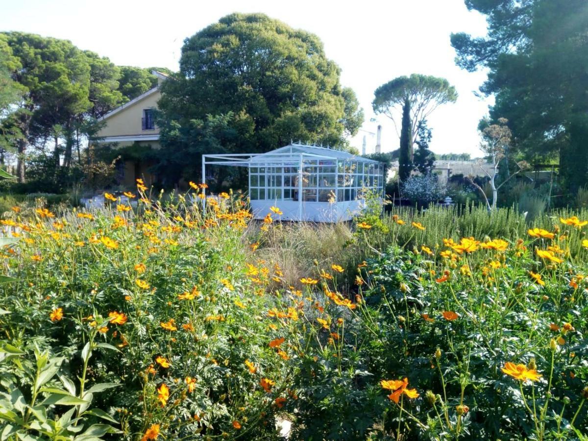Bed and Breakfast Giardino della Moscatella Altamura Esterno foto